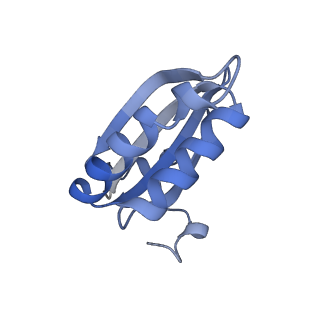 20207_6owg_CP_v1-2
Structure of a synthetic beta-carboxysome shell, T=4