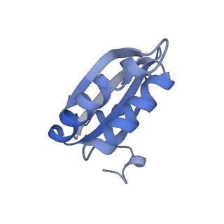 20207_6owg_CP_v1-3
Structure of a synthetic beta-carboxysome shell, T=4