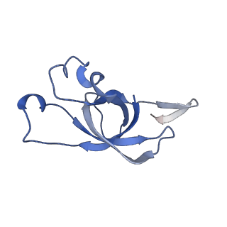 20207_6owg_CR_v1-3
Structure of a synthetic beta-carboxysome shell, T=4