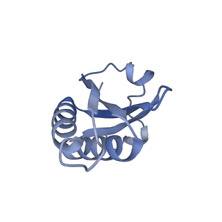 20207_6owg_CS_v1-2
Structure of a synthetic beta-carboxysome shell, T=4
