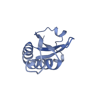 20207_6owg_CS_v1-3
Structure of a synthetic beta-carboxysome shell, T=4