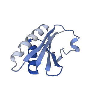 20207_6owg_CT_v1-2
Structure of a synthetic beta-carboxysome shell, T=4