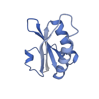 20207_6owg_CU_v1-2
Structure of a synthetic beta-carboxysome shell, T=4