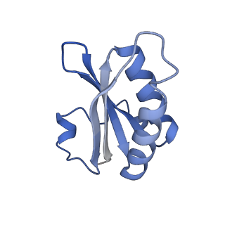 20207_6owg_CU_v1-3
Structure of a synthetic beta-carboxysome shell, T=4