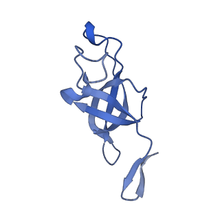 20207_6owg_CV_v1-2
Structure of a synthetic beta-carboxysome shell, T=4