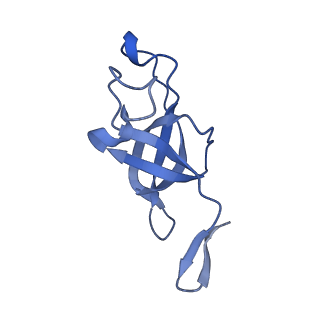 20207_6owg_CV_v1-3
Structure of a synthetic beta-carboxysome shell, T=4