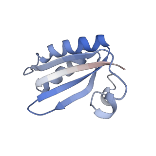 20207_6owg_CW_v1-2
Structure of a synthetic beta-carboxysome shell, T=4