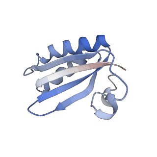 20207_6owg_CW_v1-3
Structure of a synthetic beta-carboxysome shell, T=4