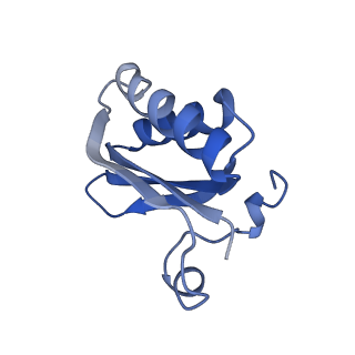 20207_6owg_CX_v1-2
Structure of a synthetic beta-carboxysome shell, T=4