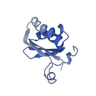 20207_6owg_CX_v1-3
Structure of a synthetic beta-carboxysome shell, T=4