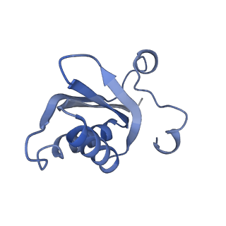 20207_6owg_CY_v1-2
Structure of a synthetic beta-carboxysome shell, T=4