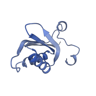 20207_6owg_CY_v1-3
Structure of a synthetic beta-carboxysome shell, T=4