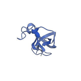 20207_6owg_CZ_v1-2
Structure of a synthetic beta-carboxysome shell, T=4