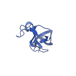 20207_6owg_CZ_v1-3
Structure of a synthetic beta-carboxysome shell, T=4