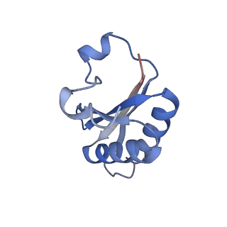 20207_6owg_C_v1-2
Structure of a synthetic beta-carboxysome shell, T=4