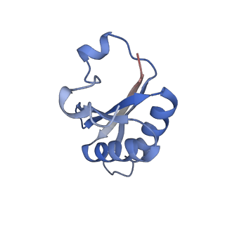 20207_6owg_C_v1-3
Structure of a synthetic beta-carboxysome shell, T=4