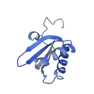 20207_6owg_D0_v1-2
Structure of a synthetic beta-carboxysome shell, T=4