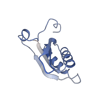 20207_6owg_D1_v1-2
Structure of a synthetic beta-carboxysome shell, T=4