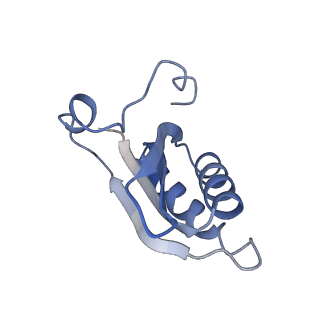 20207_6owg_D1_v1-3
Structure of a synthetic beta-carboxysome shell, T=4