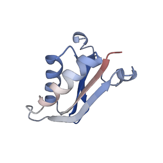 20207_6owg_D2_v1-2
Structure of a synthetic beta-carboxysome shell, T=4