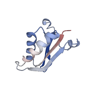 20207_6owg_D2_v1-3
Structure of a synthetic beta-carboxysome shell, T=4