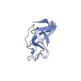 20207_6owg_D3_v1-2
Structure of a synthetic beta-carboxysome shell, T=4