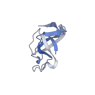 20207_6owg_D3_v1-3
Structure of a synthetic beta-carboxysome shell, T=4