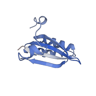 20207_6owg_D4_v1-2
Structure of a synthetic beta-carboxysome shell, T=4
