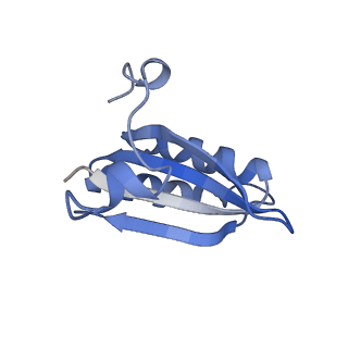 20207_6owg_D4_v1-3
Structure of a synthetic beta-carboxysome shell, T=4