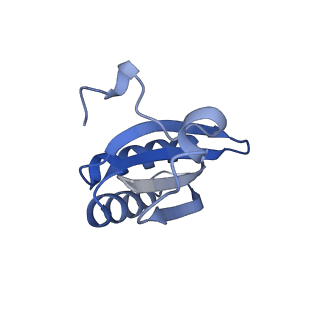20207_6owg_D5_v1-2
Structure of a synthetic beta-carboxysome shell, T=4