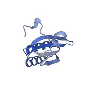 20207_6owg_D5_v1-3
Structure of a synthetic beta-carboxysome shell, T=4