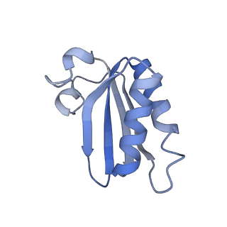 20207_6owg_D6_v1-2
Structure of a synthetic beta-carboxysome shell, T=4