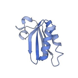 20207_6owg_D6_v1-3
Structure of a synthetic beta-carboxysome shell, T=4