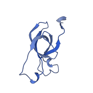 20207_6owg_D7_v1-2
Structure of a synthetic beta-carboxysome shell, T=4