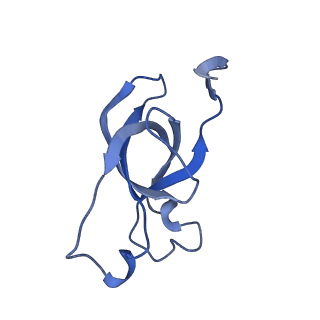 20207_6owg_D7_v1-3
Structure of a synthetic beta-carboxysome shell, T=4