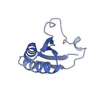 20207_6owg_D8_v1-2
Structure of a synthetic beta-carboxysome shell, T=4