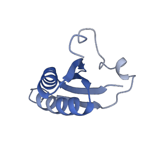 20207_6owg_D8_v1-3
Structure of a synthetic beta-carboxysome shell, T=4