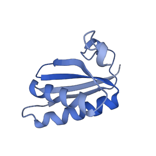 20207_6owg_D9_v1-2
Structure of a synthetic beta-carboxysome shell, T=4