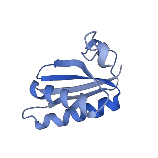 20207_6owg_D9_v1-3
Structure of a synthetic beta-carboxysome shell, T=4