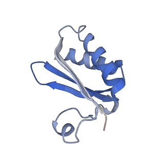 20207_6owg_DA_v1-2
Structure of a synthetic beta-carboxysome shell, T=4