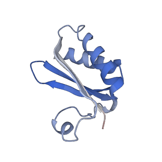 20207_6owg_DA_v1-3
Structure of a synthetic beta-carboxysome shell, T=4