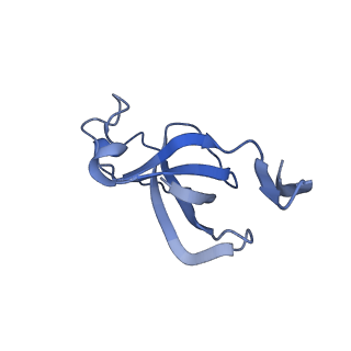 20207_6owg_DB_v1-2
Structure of a synthetic beta-carboxysome shell, T=4
