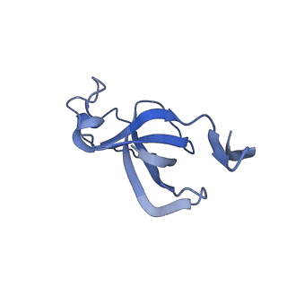 20207_6owg_DB_v1-3
Structure of a synthetic beta-carboxysome shell, T=4