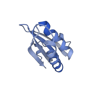 20207_6owg_DC_v1-2
Structure of a synthetic beta-carboxysome shell, T=4