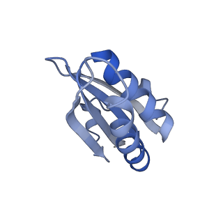 20207_6owg_DC_v1-3
Structure of a synthetic beta-carboxysome shell, T=4