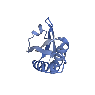 20207_6owg_DD_v1-2
Structure of a synthetic beta-carboxysome shell, T=4
