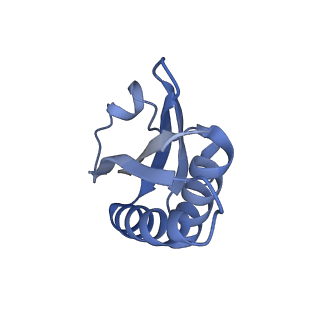 20207_6owg_DD_v1-3
Structure of a synthetic beta-carboxysome shell, T=4