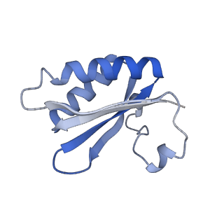 20207_6owg_DE_v1-2
Structure of a synthetic beta-carboxysome shell, T=4