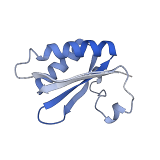 20207_6owg_DE_v1-3
Structure of a synthetic beta-carboxysome shell, T=4