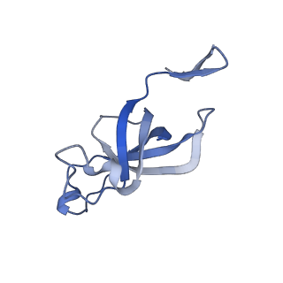 20207_6owg_DF_v1-2
Structure of a synthetic beta-carboxysome shell, T=4